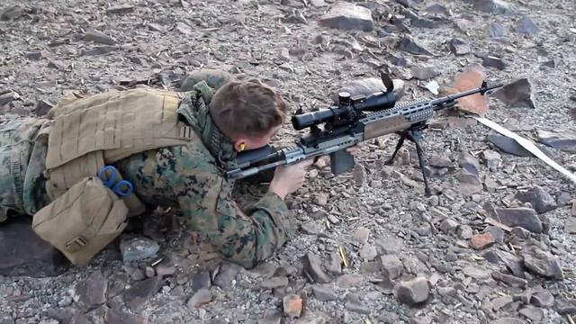 Wasting Ammo - Mk 14 EBR and M110 SASS смотреть онлайн