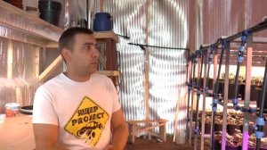 КЛУБНИКА #2 ? Выращивание клубники в теплице под фитолампами круглый год