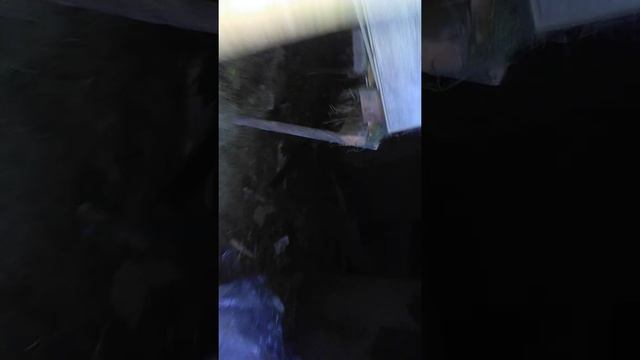 Новости//утеплил сарай//нашёл гильзы!!!!!!( смотреть онлайн