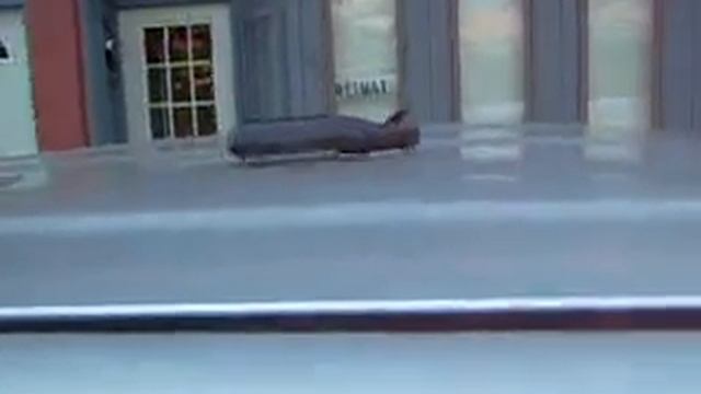 4 DD Audio Subs + Autotek MM4000.1 in Tacoma смотреть онлайн