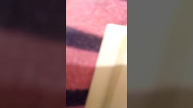 Гравити фолз Роман смотреть онлайн