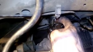 Закусывает руль Ситроен берлинго