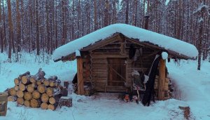 Пробиваю путики на мототолкаче. Заготовка дров в избушке.