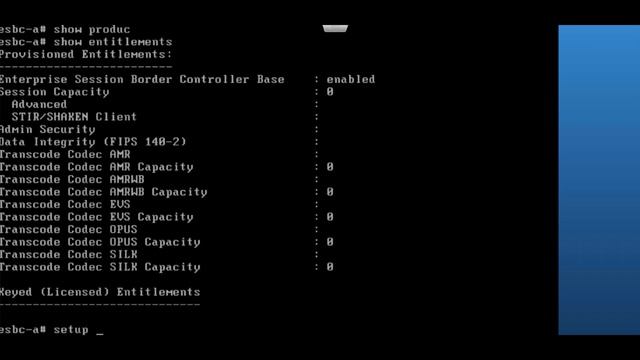Part 18 - Install Oracle Virtual E-SBC (Version 9.2) and Initial Setup смотреть онлайн