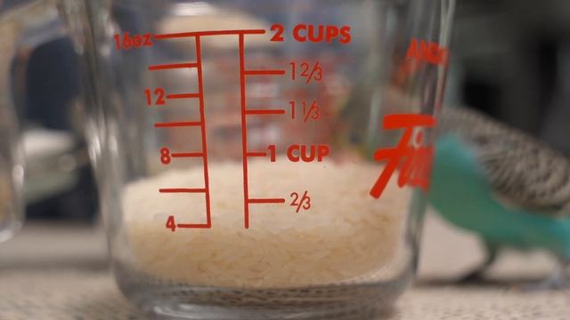I Can Eat This Soup With Chicken Every Day! A Friend From Greece Told The Secret Of This Soup!