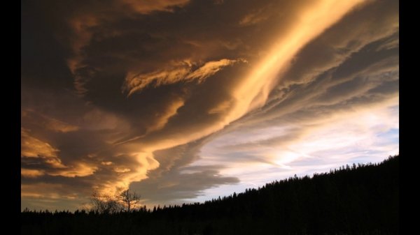 Slideshow - Nature 2013