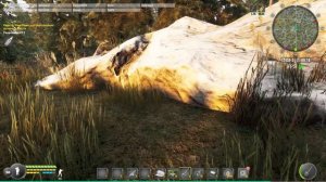 сокровище 12