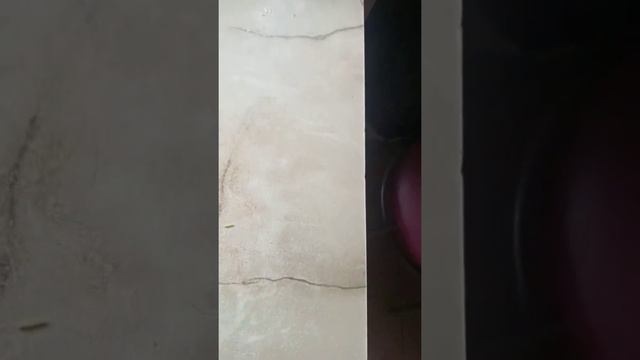 лимонная кислота часть 1 смотреть онлайн