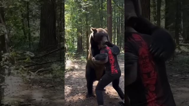 Alex Terrible Wrestles Giant Bear #heavy #heavymetal #metalmusic #slaughtertoprevail #metal смотреть онлайн