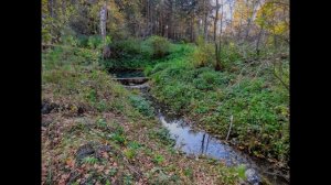 Юргинская дорога(старая) село Новороманово, скалы, Томь  Просторы Кузбасса
