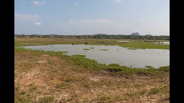 Hotel Hibiscus Beach in Kalutara (Sri Lanka Westkueste - Sri Lanka) Bewertung смотреть онлайн