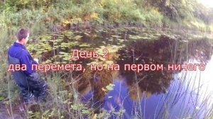 Ловля щуки на перемёт