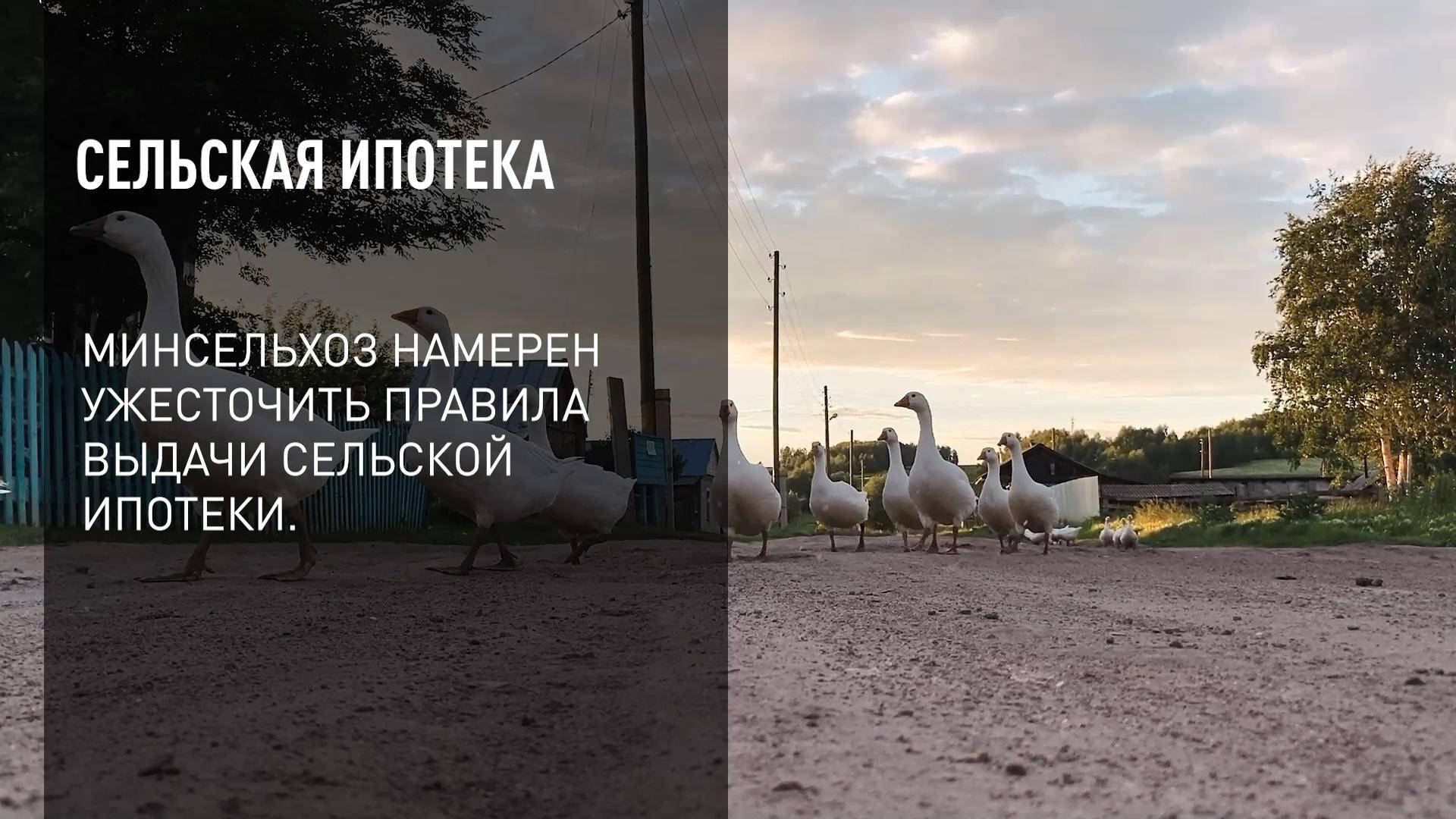 Сельская ипотека смотреть онлайн