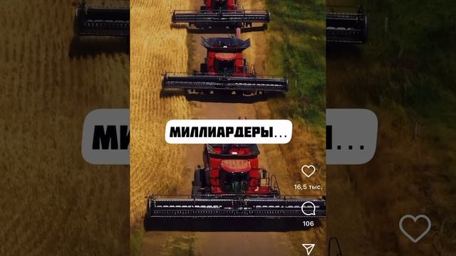 За пять дней стоимость пшеницы увеличилась на 13,68% смотреть онлайн