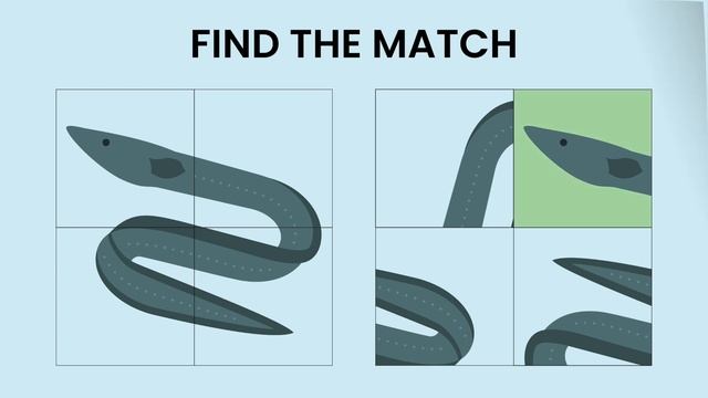 Matching Memory Game for Toddlers | Brain Training смотреть онлайн