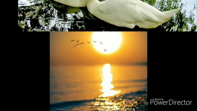 О чистой и нежной любви !😍😍😍 смотреть онлайн