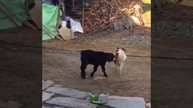 Земля любви,земля надежды бразильский сериал смотреть онлайн