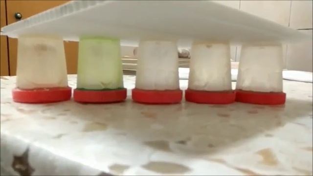 Низкотемпературный тест масел №2 -31С смотреть онлайн