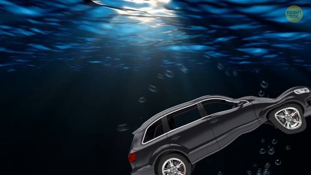 What If Megalodon and Megapiranha Met Face-to-Face смотреть онлайн