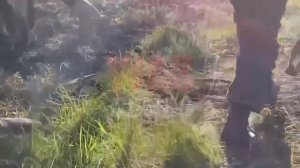 Видео реального боя с мест спецоперации на Украине