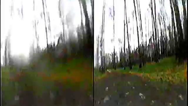 полеты в березовой роще по стерео камере