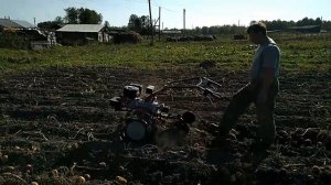 Мотоблок  угра картофелекопалка
