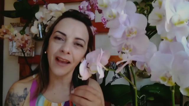ORQUÍDEA PHALAENOPSIS E MUITA SURPRESA☝️ смотреть онлайн