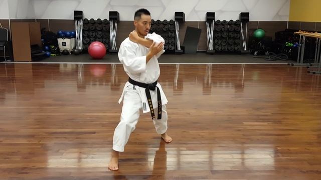 Kata Taikyoku Shodan Tutorial смотреть онлайн