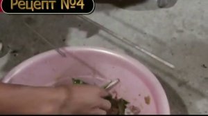 Очень вкусно и быстро или как китайцы едят живых мышей