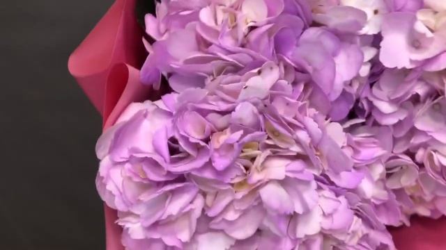 БУКЕТ ИЗ ТРЕХ ФИОЛЕТОВЫХ ГОРТЕНЗИЙ смотреть онлайн
