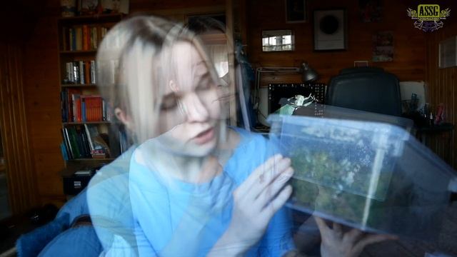Как сделать садок для лягушки из пластикового контейнера? смотреть онлайн