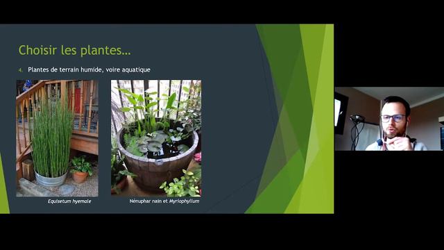 Les plantes vivaces. Les vivaces de balcons et terrasses par Aurélien Davroux смотреть онлайн