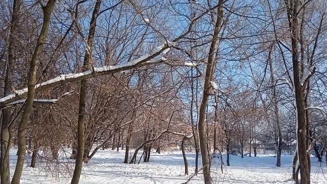 Большой праздник - 15 февраля - Сретение Господне/Приметы, что нельзя делать! смотреть онлайн