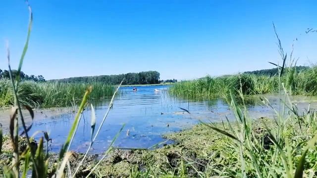 Cutta cavat lapidem | Капля точит камень смотреть онлайн