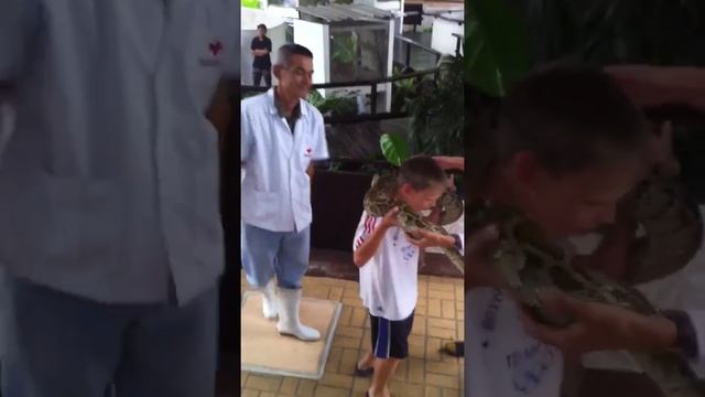Matthew up close with a python смотреть онлайн