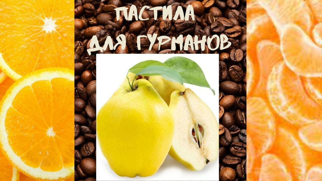 2 РЕЦЕПТА ПАСТИЛЫ для ЛЮБИТЕЛЕЙ КОФЕ и ЦИТРУСОВЫХ ???