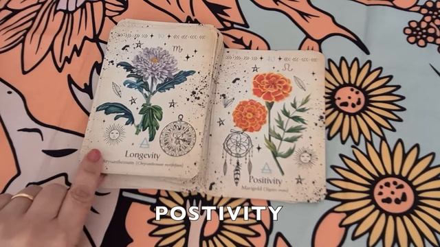 Unveiling the Magic: Green Witch Oracle Deck Walkthrough смотреть онлайн