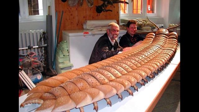 Артоплевра