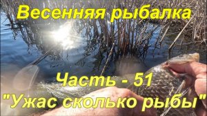 Весенняя рыбалка. Часть - 51 «Ужас сколько рыбы»