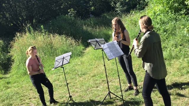 Rendsburger Musikschule - Konzert des Jugendorchesters Two Clarinet Trios von Paul Harvey смотреть онлайн