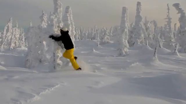 на ель ворона взгромоздясь смотреть онлайн