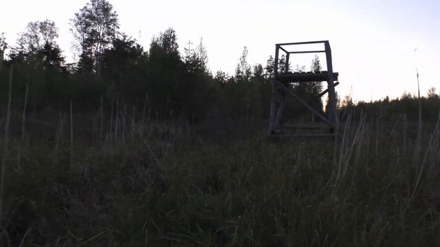 ОХОТА НА КОСУЛЮ.В стране косуль. Часть 1. Охота с подхода, первый выезд сезона. смотреть онлайн