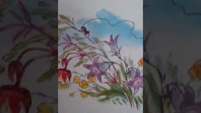 Cказки из леса. Как летает паучишка. смотреть онлайн