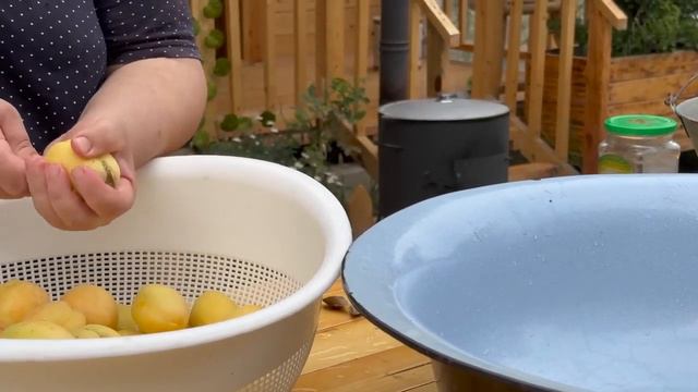 Harvesting Bell Peppers and Making Traditional Stuffed Pickle | Rural Life Azerbaijan смотреть онлайн