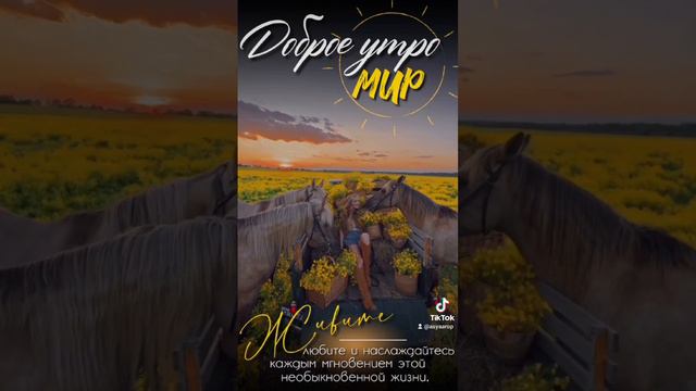 Доброе утро смотреть онлайн