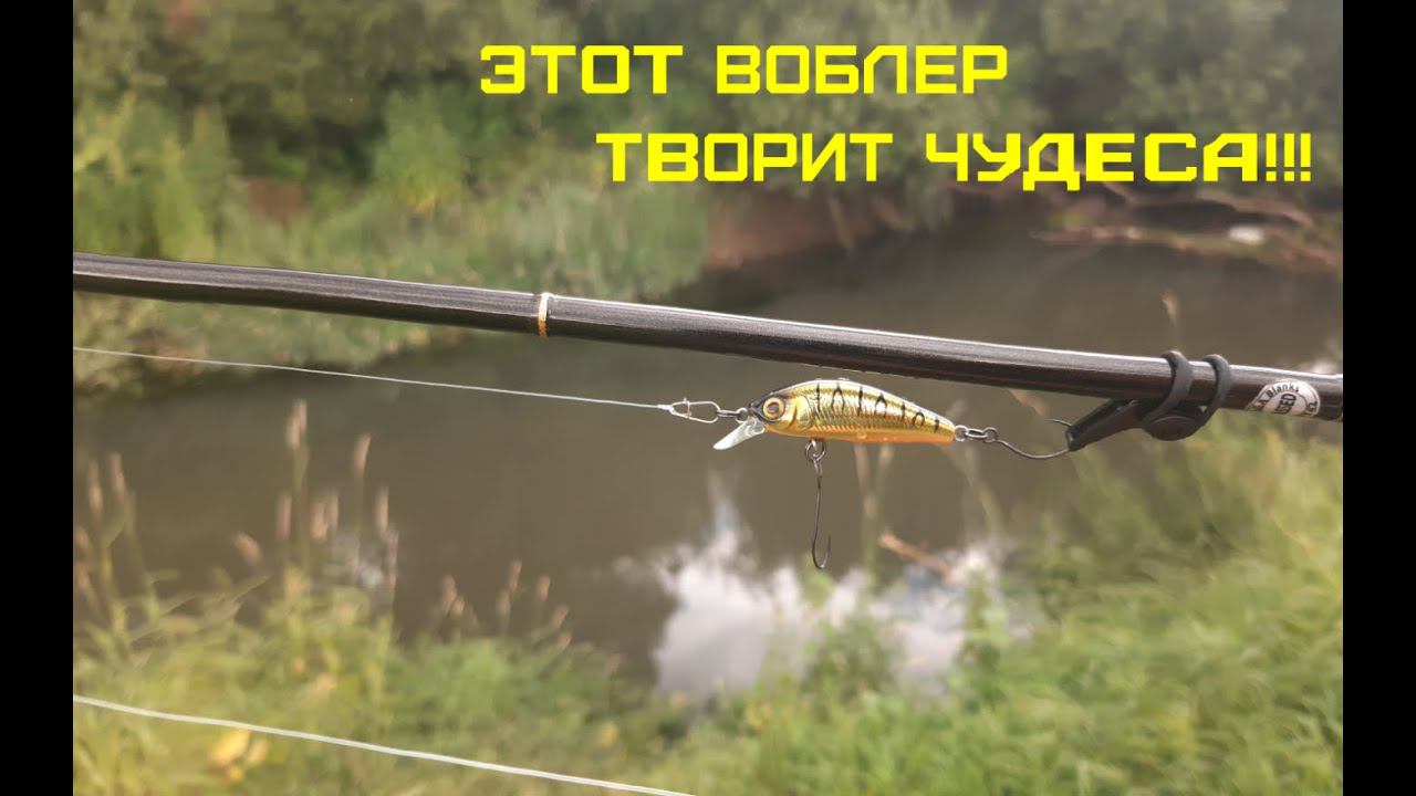 Этот воблер творит чудеса!!! ЖОР ЯЗЯ смотреть онлайн