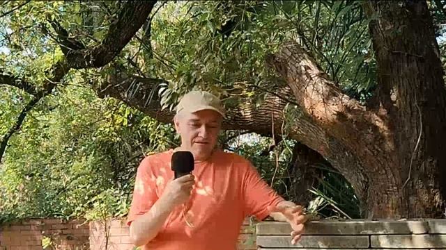 Как узнать будущее? Простой и доступный способ смотреть онлайн