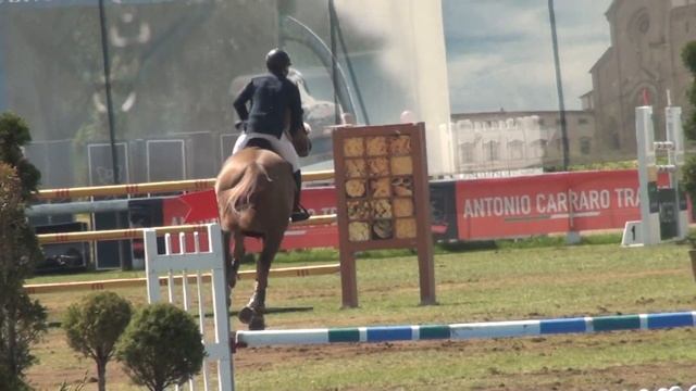 Arezzo, Italy 3* . 4неделя 145см скоростной, Альтаир де Ревель смотреть онлайн