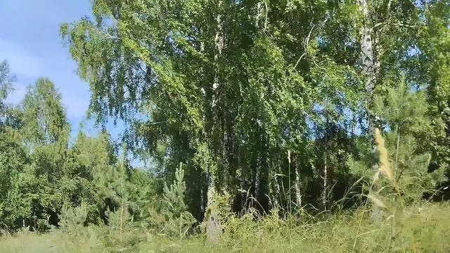 Муж бросил, беззубую, полную жену. А когда встретил , локти кусал от злости на себя смотреть онлайн