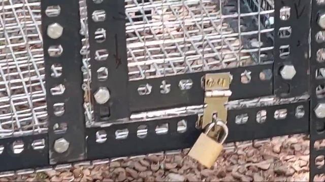 Love birds' cage - no welding смотреть онлайн